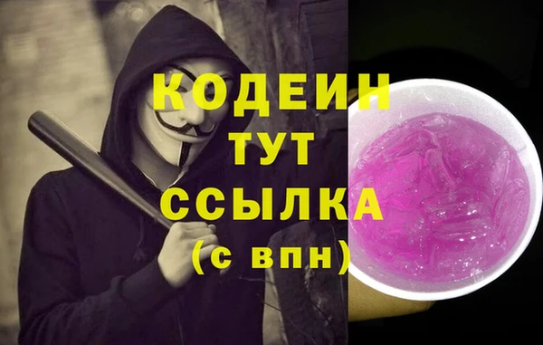 гашик Алзамай