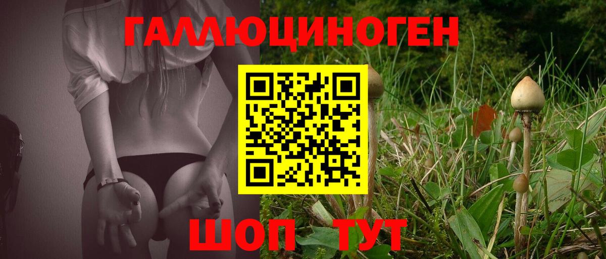 Галлюциногенные грибы мухоморы  Вход с VPN  где купить наркотик  Тосно 
